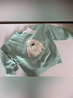 H&M Mint Green Graphic Sweatshirt - Dog Print 2T